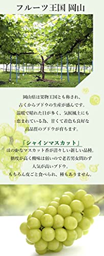 VERAISON シャインマスカット ぶどうの宝石箱 ヴェレゾン ルミエール 岡山 葡萄 ピオーネ 桃太郎 フルーツ ギフト の商品画像 4