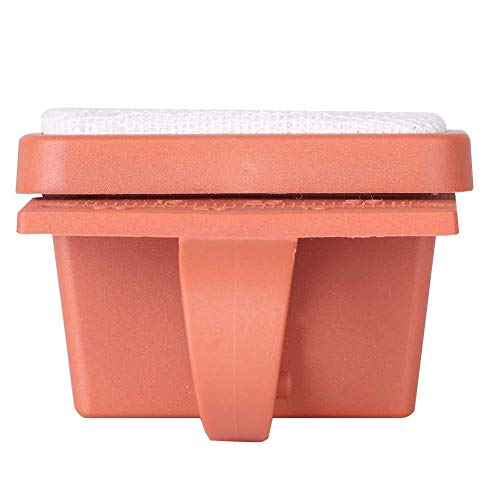 Boquite BOQUITEIM6530NEU7-02 Christmas Carnival Boquite Endo Ruler, 2 Colors Endodontic Files Measure Ruler Oral Cleansing thumb #8