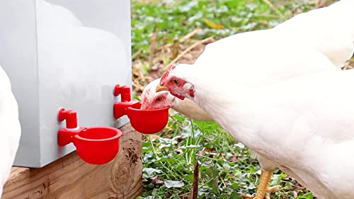 Rentacoop 25Lb Metal 2-Port Poultry Feeder And 5 Gallon Hydration Station Waterer: Waterproof, Chickens/Ducks/Turkey/Poultry/Fowl/Etc #TOP3