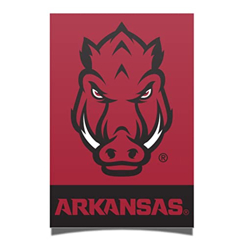 Desert Cactus University of Arkansas Poster UARK Razorbacks 24 x 36 inch Room Office Décor Decoration Official Fan Gear (24x36 Inch)