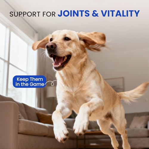 FURRY ARMOR Omega 3 Fish Oil for Dogs - Image 4