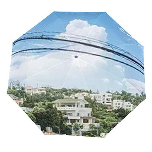 Parapluie coupe-vent ZIYA fini les baleines cassées avec ce parapluie compact pliable landscape