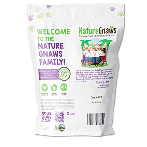 Nature Gnaws Pork Bully Stick Pretzels For Dogs - Premium Natural Pork Dental Chews - Jerky Treats For Puppies And Small Breeds - Rawhide Free #TOP1