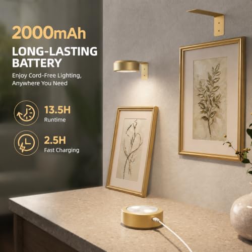 EZVALO Picture Lights for Wall, 2000mAh Rechargeable Battery Magnetic Poster Lights with 3 Color Temps & 12 RGB, Remote Dimmable Timer Painting Light, Wall Decor Light for Art Display, Frame (3 Pack)