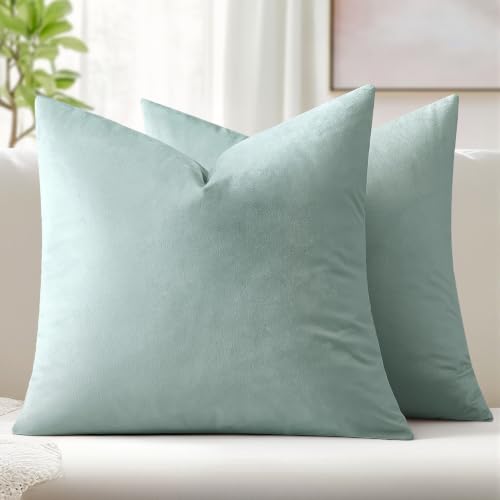 MIULEE Velvet Throw Pillow Covers 20x20 Inch Pack of 2 Aqua Haze
