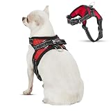 Copatchy No Pull Reflective Adjustable Dog Harness With Handle- Comfortable Soft All Weather Mesh, Easy On Puppy Harness For Small Medium and Large Dogs (Red) X-Small