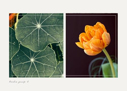 Garden gossip 4