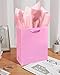 Gcardist Pink Gift Bags with Tissue Paper for Wedding, Birthday, Party - Medium Size Cardboard Gift Bags (5pcs + 10pcs Tissue Paper)