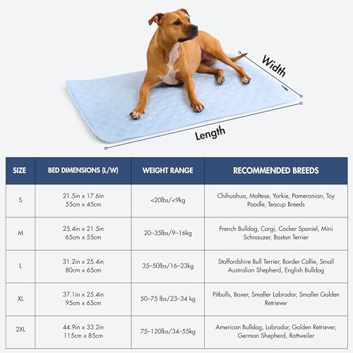 Spark Paws Cooling Mat for Dogs - Self Cooling Dog Mat & Pet Cooling Pad for Large, Medium & Small Dogs - Non-Toxic, Non-Gel Washable Cooling Bed - Hearts Blue - Size XL by Spark Paws - Used condition - Image 5