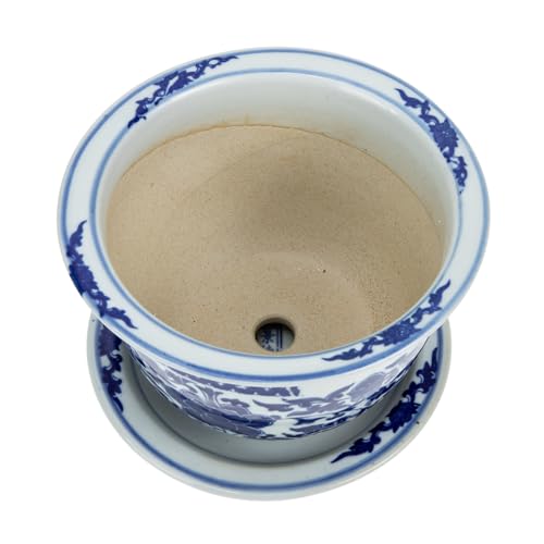 Toddmomy Maceta de Cerámica Azul y Blanca Estilo Chino Grande 17Cm Plato y Orificio de Drenaje para Plantas de Interior, Maceta para Suculentas y Decoración de Escritorio