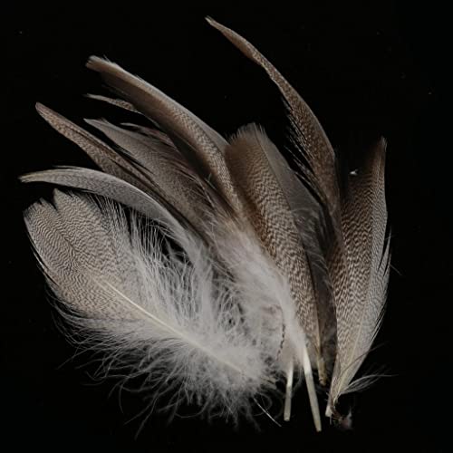 Jili Online 100Pieces Mallard Duck Feathers Beautiful Feather 5-8Cm For Wedding Party Decoration Hats Costume Diy Crafts #TOP5