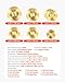 VEVOR Cymbal Pack, 7 Pieces Cymbals for Drum Set, Alloy Cymbals Drum Set Includes 14