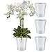 Produktbild Santino 4er-Set Orchideentopf transparent mit selbstbewässerndem Dochtsystem - D 15 cm - Transparent - 2 L
