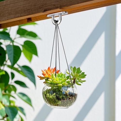 TXXATX Augplatte Edelstahl M5 Augplatte mit Öse 10 Stück Wandöse Deckenöse Ösenplatte für Decksplatt Befestigungsösen Deckenhaken Hängessel Sonnensegel Befestigung