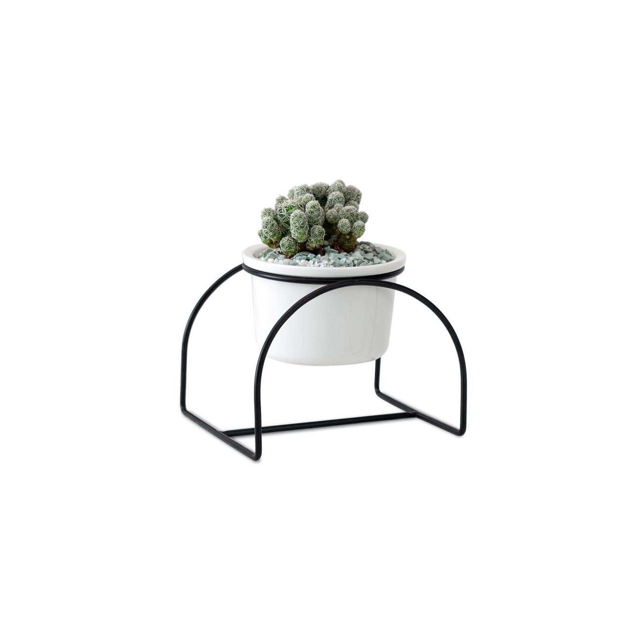 See full amazon price history chart for FURN ASPIRE White Ceramic Small Plant Pot with Arched Iron Frame Ceramic Flower Pot, Outdoor Indoor Plants Home Garden Home Decor (Black Trapezoid Stand) FURN ASPIRE White Ceramic Small Plant Pot with Arched Iron Frame Ceramic Flower Pot, Outdoor Indoor Plants Home Garden Home Decor (Black Trapezoid Stand) (B0CBFYJ217) Amazon Price History, Amazon Price Tracker