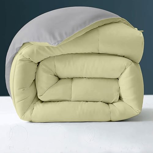 Image of Day Care - 500 GSM Hotel Quality-Down Alternative Reversible Comforter (60 inch x 90 inch Inches /228cm x 228cm) - Comforter Single Bed|Ivory /Silver