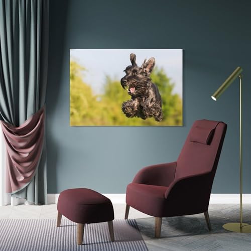 Poster Schnauzer impression sur toile tableau décoration murale 40x60 - 4