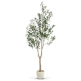 MAIA SHOP Olivo Artificial Moon 180 cm - Arbol Artificial Interior Frondoso con Tronco Natural - Planta Artificial Realista con Aceitunas para Hogar Salon Recibidor Oficina - Maceta Negra Incluida