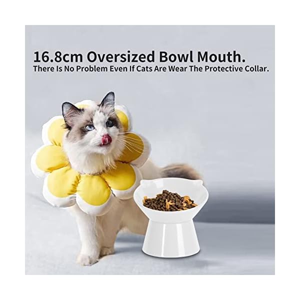 vootun Futternapf Katze,Katzennapf Erhöht Fressnapf Katze mit 15° Neigung Design,Anti-Erbrechen Katzennäpfe,Katzenfutternapf für Futter und Wasser,perfekt für Katzen,Welpen und kleine Hunde,Weiß – Bild 3