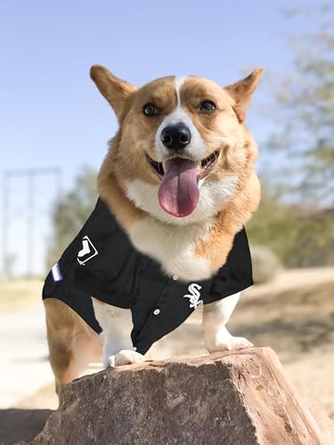 Official MLB Chicago White Sox Pet Jersey for Dogs & Cats, Size Large - Stylish Baseball Jersey for Your Furry Fan- Show Off Team Spirit with The Perfect Fan Apparel Gear for Pet, Dog & Cat - Thumbnail 4