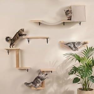 WOOWOOD Kletterwand Katzen - 12 teilig - Beste Stabilität - Kratzbaum Katze aus Naturholz, Katzen Hängematte, Katze Wandelemente, Kratzbaum Klein, Katzenwand, Katzentreppe Wand, Katzenmöbel