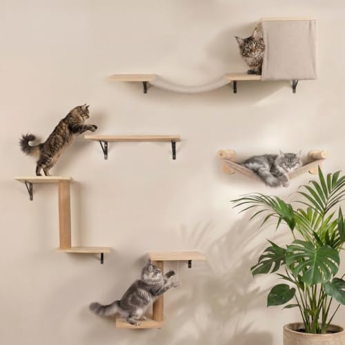 WOOWOOD Kletterwand Katzen - 12 teilig - Beste Stabilität - Kratzbaum Katze aus Naturholz Katzen Hängematte Katze Wandelemente Kratzbaum Klein Katzenwand Katzentreppe Wand Katzenmöbel