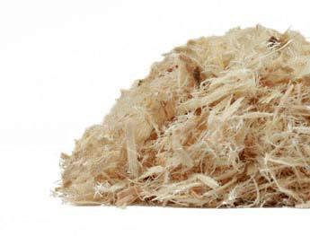 Bulk Herbs: Slippery Elm Bark (Organic) Bulk Herbs: Slippery Elm Bark (Organic)