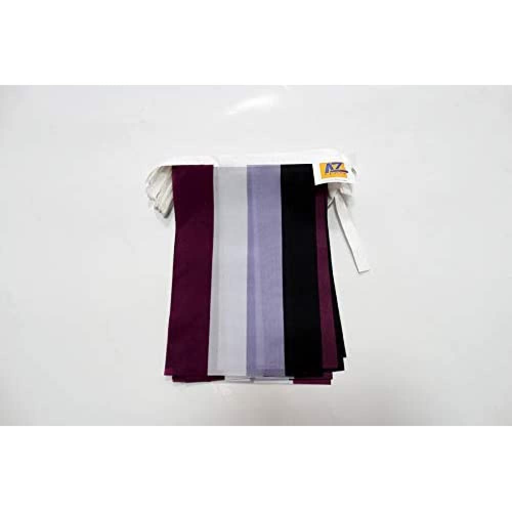 AZ FLAG Asexual Rainbow Bunting 20 ft 20 flags Light Polyester