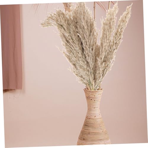 Ramo de Flores Secas Natural Alipis 3 Sets para Decoración miniatura 7