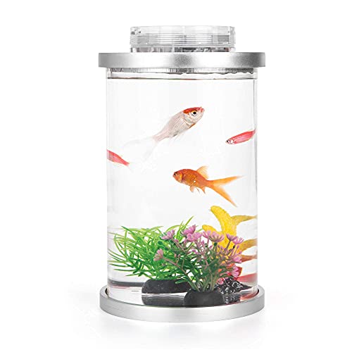 Kotaffo Mini Fish Tank With Remote Multi-Color Led System, Half Gallon Aquarium Starter Kits, Desktop Decoration That Grows Plants, Perfect For Birthday Gift And Home/Workplace Décor #TOP6