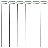 6 supporti per piante rampicanti in metallo, per addestrare viti, edera, gelsomino, glicine, su pareti, recinzioni, tralicci e strutture interne (40 cm)