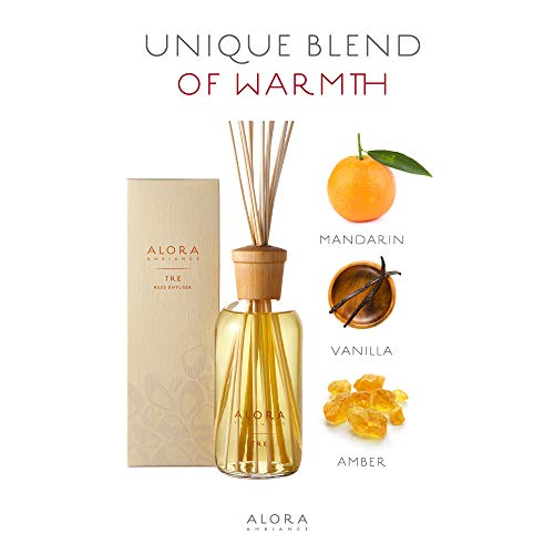 Tre Reed Diffuser 16Oz Diffuser By Alora Ambiance #TOP1