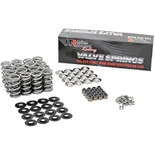 BTR Brian Tooley Racing LS Dual Valve Spring Kit .685" Lift with Titanium Retainers -Fits LS1 LS6 LSX LS3 L99 L92 LS2 LQ4 LQ9 L33 4.8 5.3 5.7 6.0 6.2