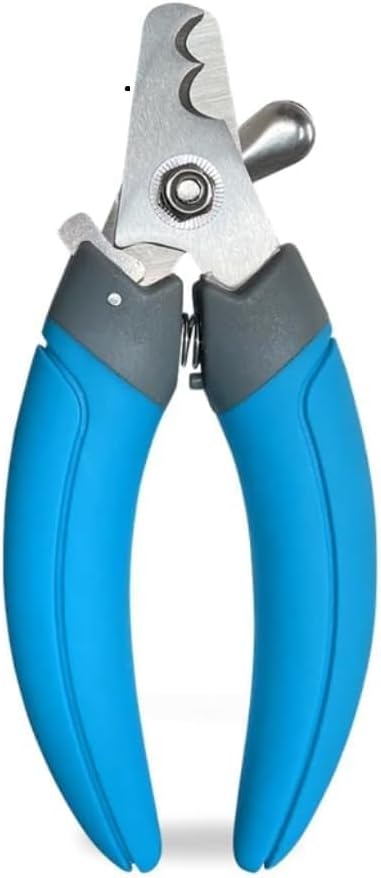 How to Safely Trim a Dog's Nails Using Grooming Scissors and Clippers