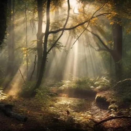 The Spark of Awakening: Revival, Not Revolution