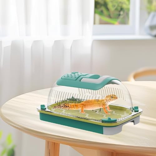 Bothyi Caixa de alimentação de répteis de réptil de réptil, S