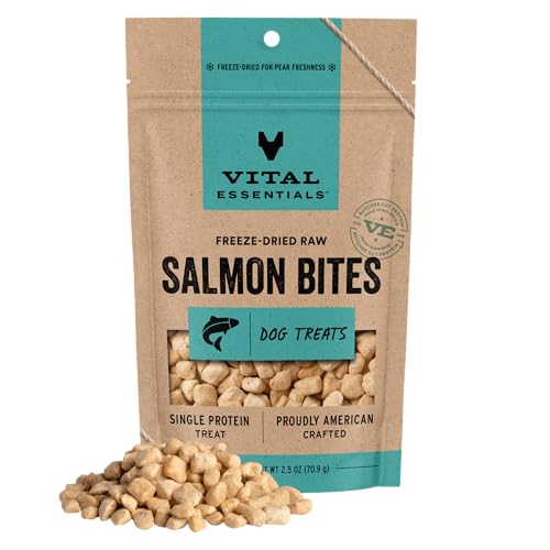 Vital Essentials Freeze Dried Dog Treats | Salmon Bites, Single Protein | Premium Quality | Grain Free Training Treats for Dogs, 2.5 oz Bag
