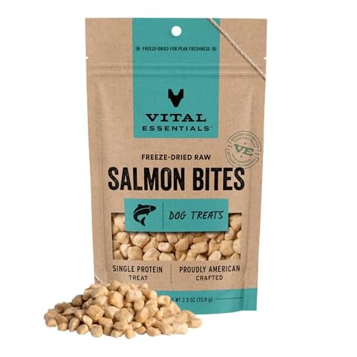 Vital Essentials Freeze Dried Dog Treats | Salmon Bites, Single Protein | Premium Quality | Grain Free Training Treats for Dogs, 2.5 oz Bag