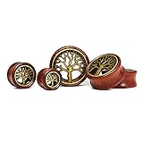 Stückzahl: 1 Plug Flesh Tunnel Holz Lebensbaum Wood 12-30 mm Ear Plug Sattle Fit Double Flared Organic Tree of Life braun 22 mm