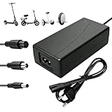 【Compatible avec plusieurs modèles courants 36V】Le connecteur DC 5,5 mm est compatible avec certains modèles Gotrax, comme GXL V2, Rival, Apex, Apex XL et G3 Plus. L’embout type Xiaomi / 8 mm RCA est compatible avec certains modèles Xiaomi et Ninebot, comme Xiaomi M365 Pro, Xiaomi Pro 2, Ninebot ES1, ES2 et ES4. La prise aviation convient aux appareils 36V équipés d’un connecteur correspondant. Veuillez toujours vérifier la taille du connecteur, la polarité et la tension avant achat.