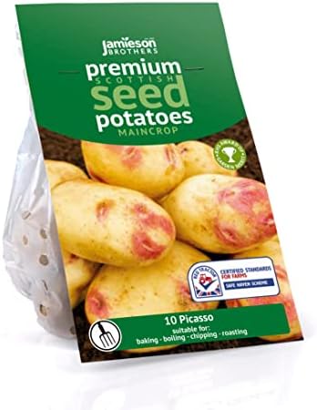 Jamieson Brothers 10 Tuber Charlotte Seed Potatoes  JBA Second Early Grow Your Own Spuds  for Salads, Mashing & Boiling  Scottish-Grown & Ready to Plant at Home in Pots, Gardens & Allotments