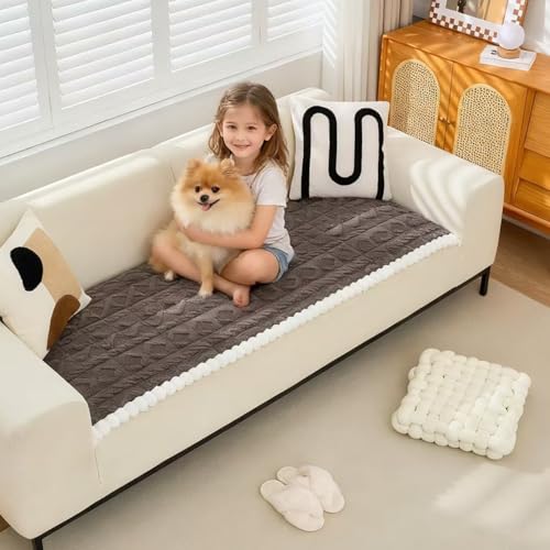 Asou Couch Cover Sofa Cover Thick Couch Protector Portable Car Seat Cover for Kids and Pets