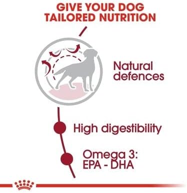 Royal Canin Medium Adult Dry Dog Food 15kg