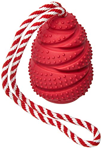 Rubber Cone com Corda Grande Vermelho Jambo para Cães