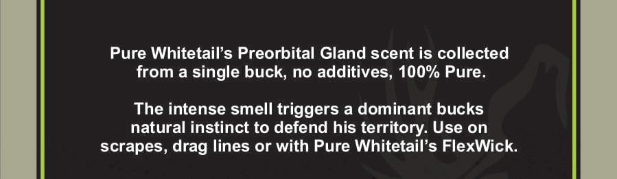 Pure Whitetail Preorbital Gland Scent, 2 oz Bottle, 10-Pack