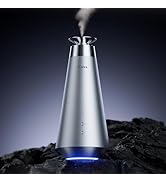 Amazon.co.jp: 【2026新登場・180mL で 16 ヶ月持続】FLIRVA 車 アロマ