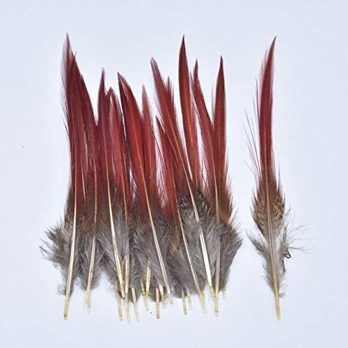 Rare Pheasant Feathers 5~25cm/2-10inch; Natural Hair Feathers for Clothes Craft Feather Plume Decoration Plumas Carnaval Feather Top - 25-30CM 10-12inch