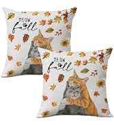 NUTEEN Fall Cat Throw Pillow Cover - 12x20 Inch, Autumn Leaves & Kitten Design, Decorative Pillowcase - View #14