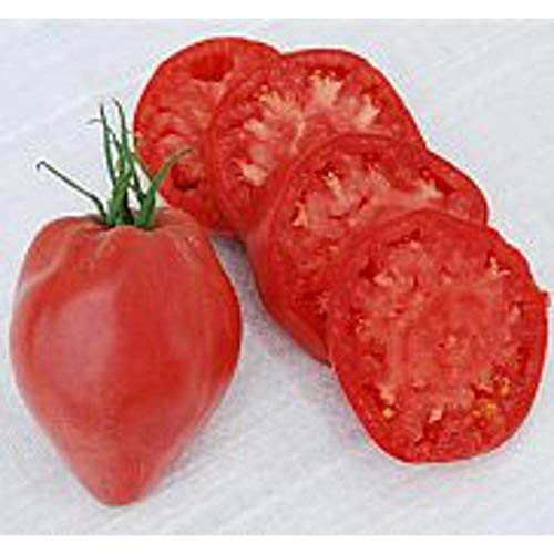 Hungarian Heart Tomato Seeds (25 Seed Packet)(Non GMO Organic Vegetable Fruit Garden Seeds) Non-Hybrid, by Home Decorium