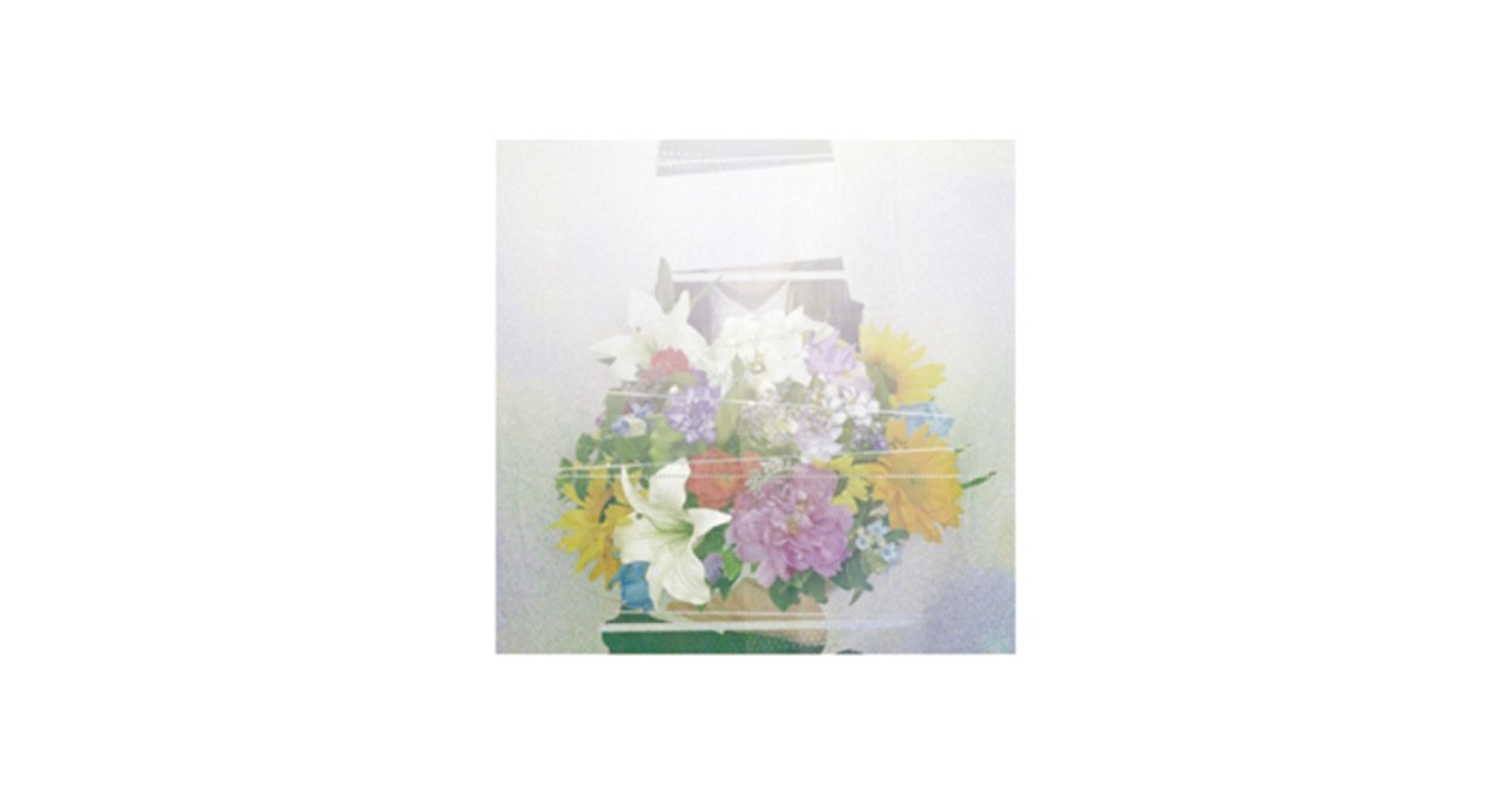 ヨルシカアルバム　さや YORUSHIKA - Natsukusa Ga Jama Wo Suru - Amazon.com Music